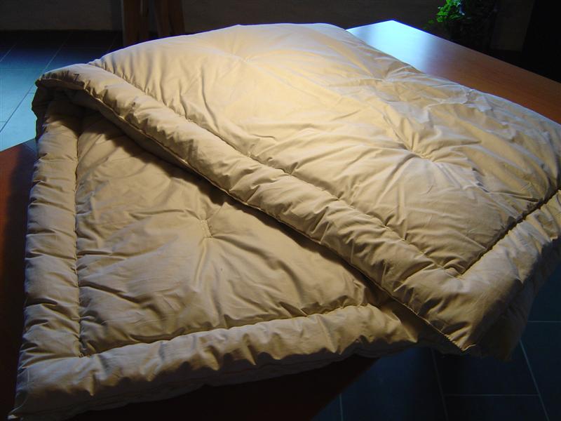 Alpakadecke